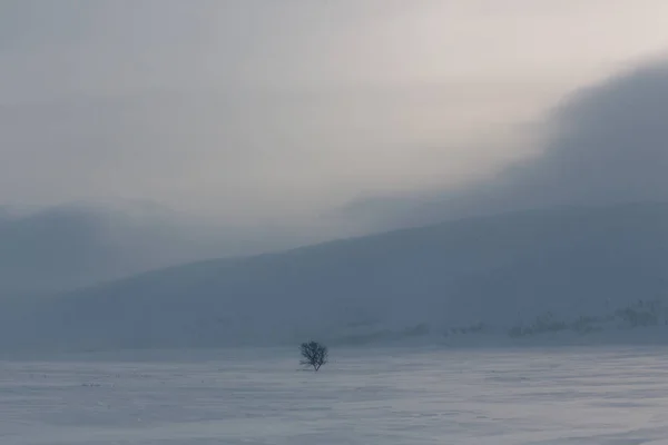 Backcountry atmosferyczne zamrożone zdalnego kraju zimą — Zdjęcie stockowe