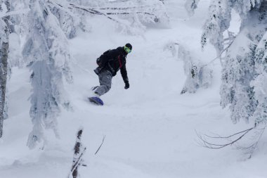 Tepeden aşağı sürme ormandaki Snowboarder