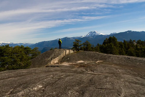 Andscape kaya, orman ve kar ile yüz yüze kaplı dağlar