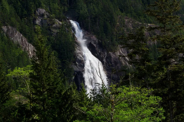 Великий водоспад в зеленому лісі в сонячний день — стокове фото
