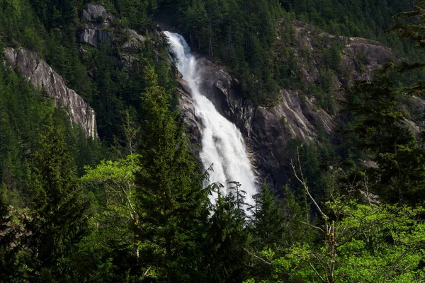 Velký vodopád v zeleném lese na slunečný den — Stock fotografie