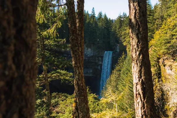 Wasserfall im Schatten im tiefen Wald — Stockfoto