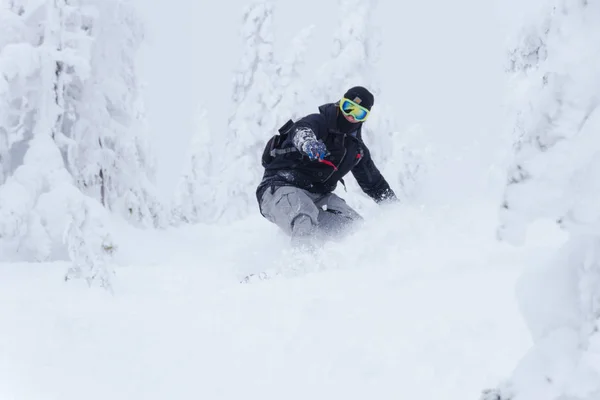 Snowboarder en forêt descendant la colline — Photo