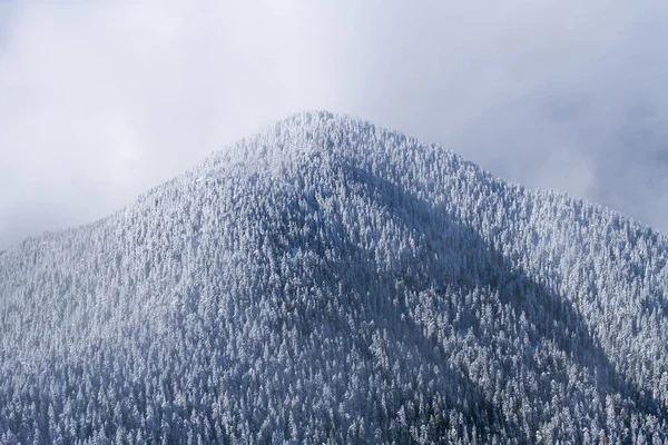 구름에 덮여 큰 산 언된 겨울 풍경 하 고 — 스톡 사진