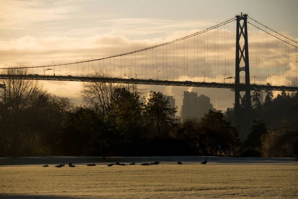 Campo de futebol com ponte no bacground enquanto o nascer do sol — Fotografia de Stock