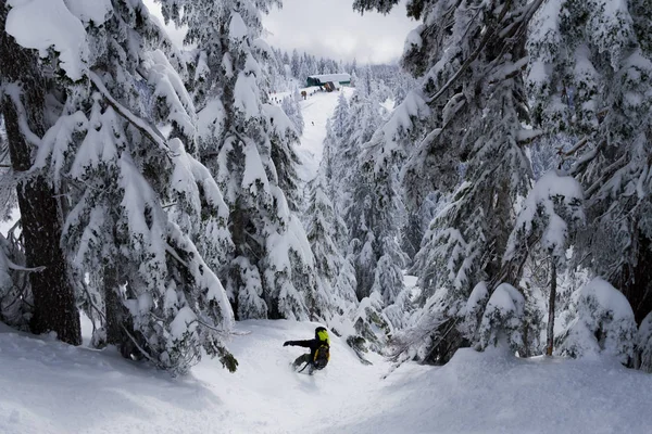 Snowboardista v lese na koni dolů z kopce Stock Picture