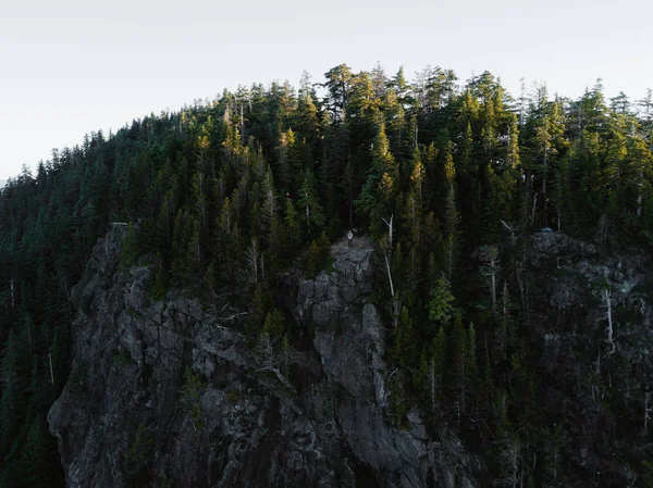 Antenn skott i trädtopparna i tät fores — Stockfoto