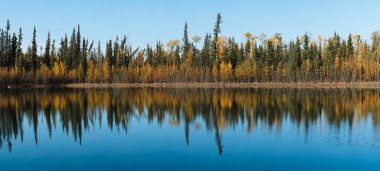 Sonbaharda buzulları ve kar örtüleri olan Alaska dağları
