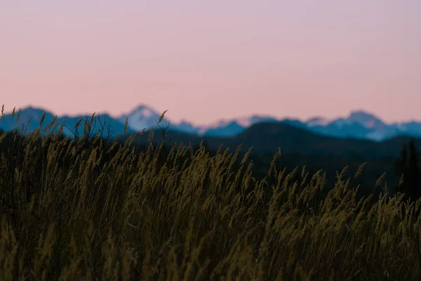 日落后天空粉红的阿拉斯加山脉 — 图库照片