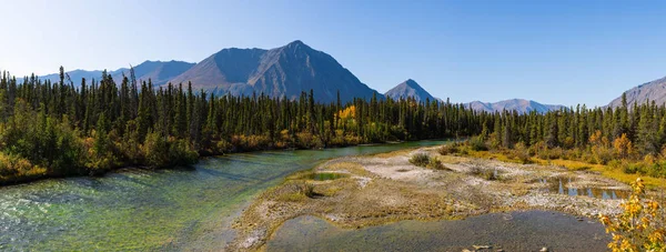 Autumn color of trees in mountains in Alaska — ストック写真