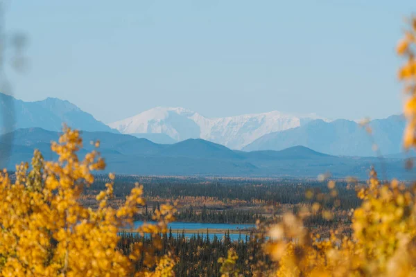 Erdő és hegyek őszi színek Alaszkában — Stock Fotó
