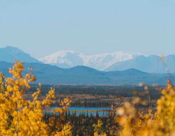 Forêt et montagnes aux couleurs automnales en Alaska — Photo