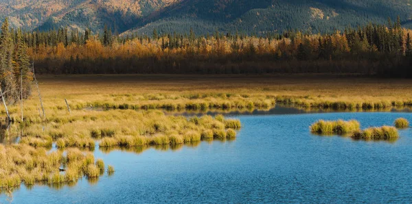 Bosque y montañas en colores otoñales en Alaska —  Fotos de Stock