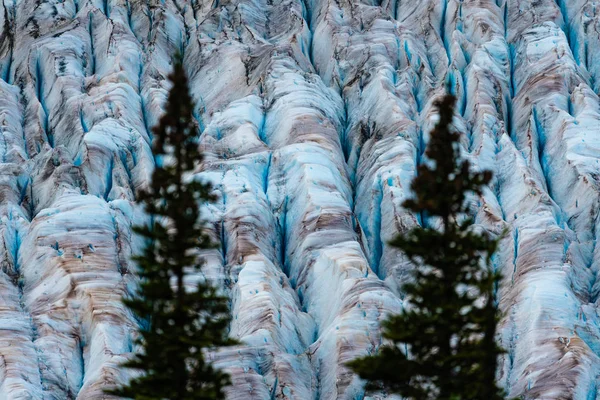 Detalj av glaciären och dess spricka — Stockfoto