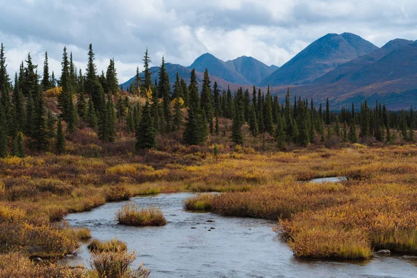 Jesienny kolor drzew w górach na Alasce — Zdjęcie stockowe