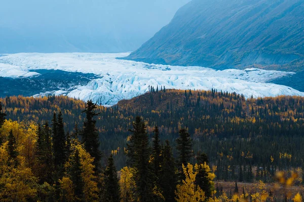 Ogromny lodowiec nad żółtymi i zielonymi drzewami — Zdjęcie stockowe