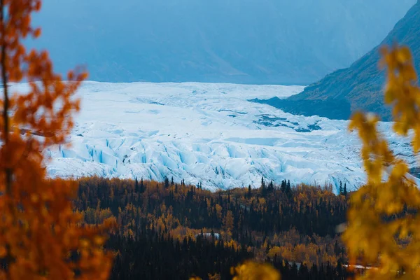 Enorma glaciärer ovanför gula och gröna träd — Stockfoto