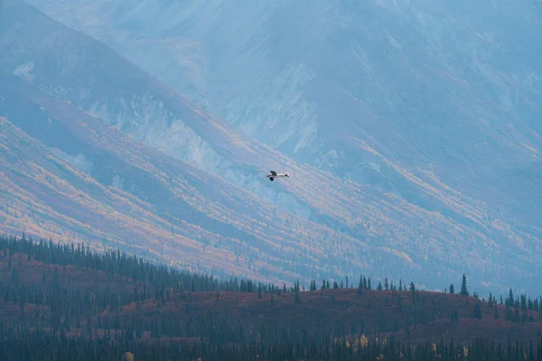 Plane flying in remote mountains in Alaska