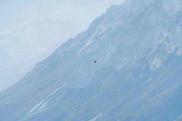 Plane flying in remote mountains in Alaska — ストック写真