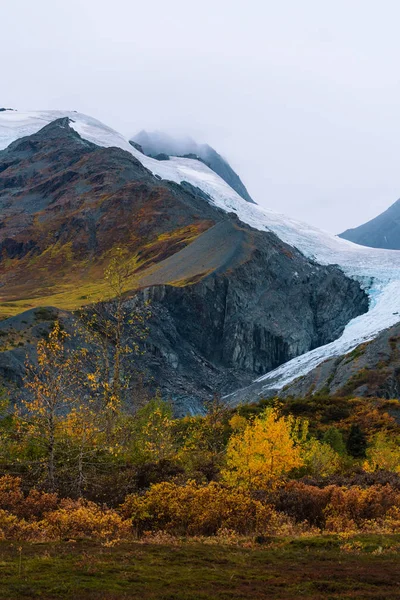 Glacier above yellow and green trees in Alaska — ストック写真