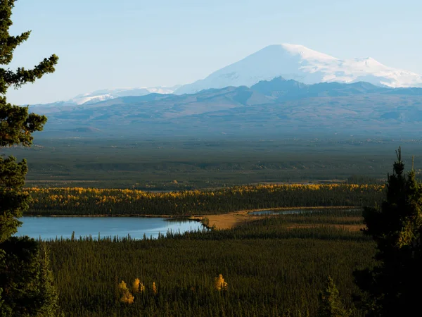 Леса и горы осенних цветов на Аляске Стоковая Картинка