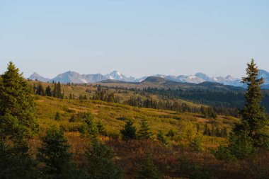 Alaska 'da sonbahar renklerinde orman ve dağlar