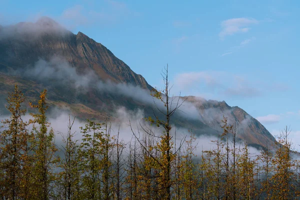 Forêt et montagnes aux couleurs automnales en Alaska — Photo