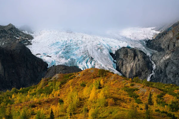 Glaciär ovanför gula och gröna träd i Alaska — Stockfoto