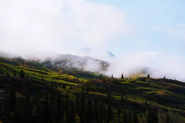 Les a hory podzimních barev na Aljašce — Stock fotografie