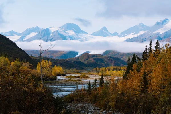 Colore di autunno di alberi in montagne in Alaska — Foto Stock