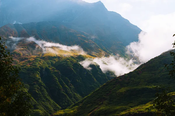 Foresta e montagne nei colori autunnali in Alaska — Foto Stock