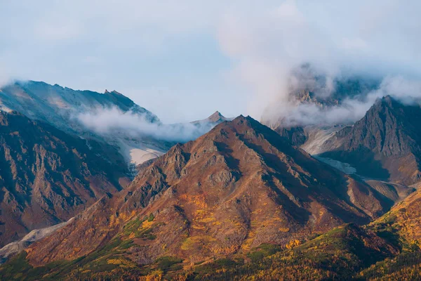 Forest and mountains in autumn colors in Alaska — ストック写真