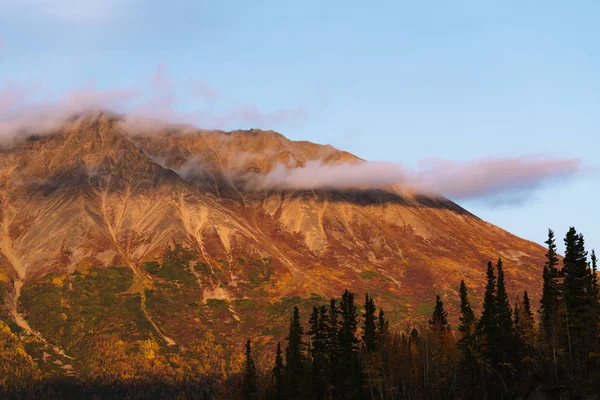 Bosque y montañas en colores otoñales en Alaska —  Fotos de Stock