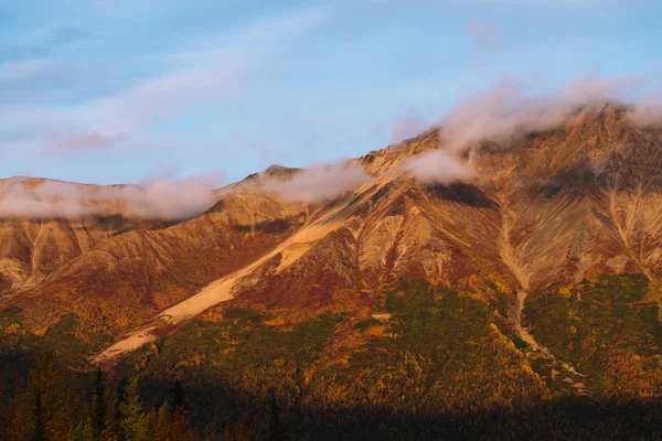 Forest and mountains in autumn colors in Alaska — 스톡 사진