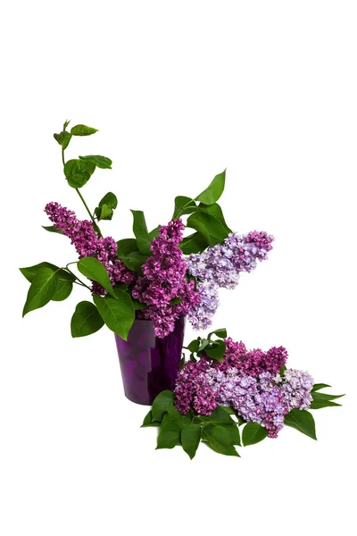Lilac bouquet isolated — Stock Photo, Image