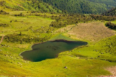 Yüksek dağ gölleri