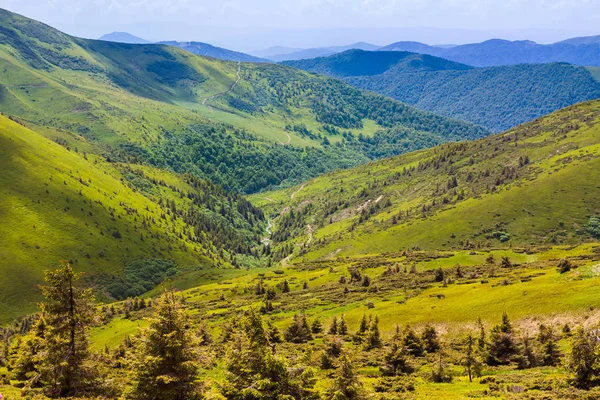 Ukrayna 'daki Karpat Dağları