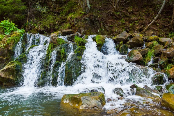 Art arda sıralı yeşil çim dağda düşüyor