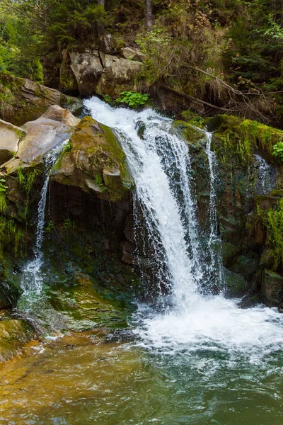 Art arda sıralı yeşil çim dağda düşüyor