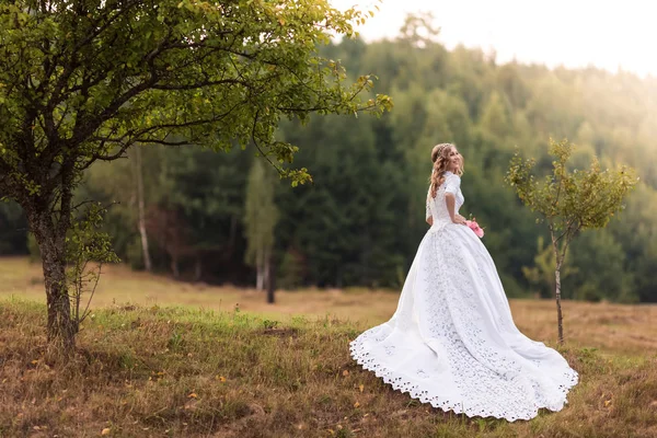 Gyönyörű esküvői ruha Jogdíjmentes Stock Képek