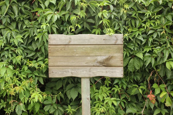 Houten bord met kopie ruimte — Stockfoto