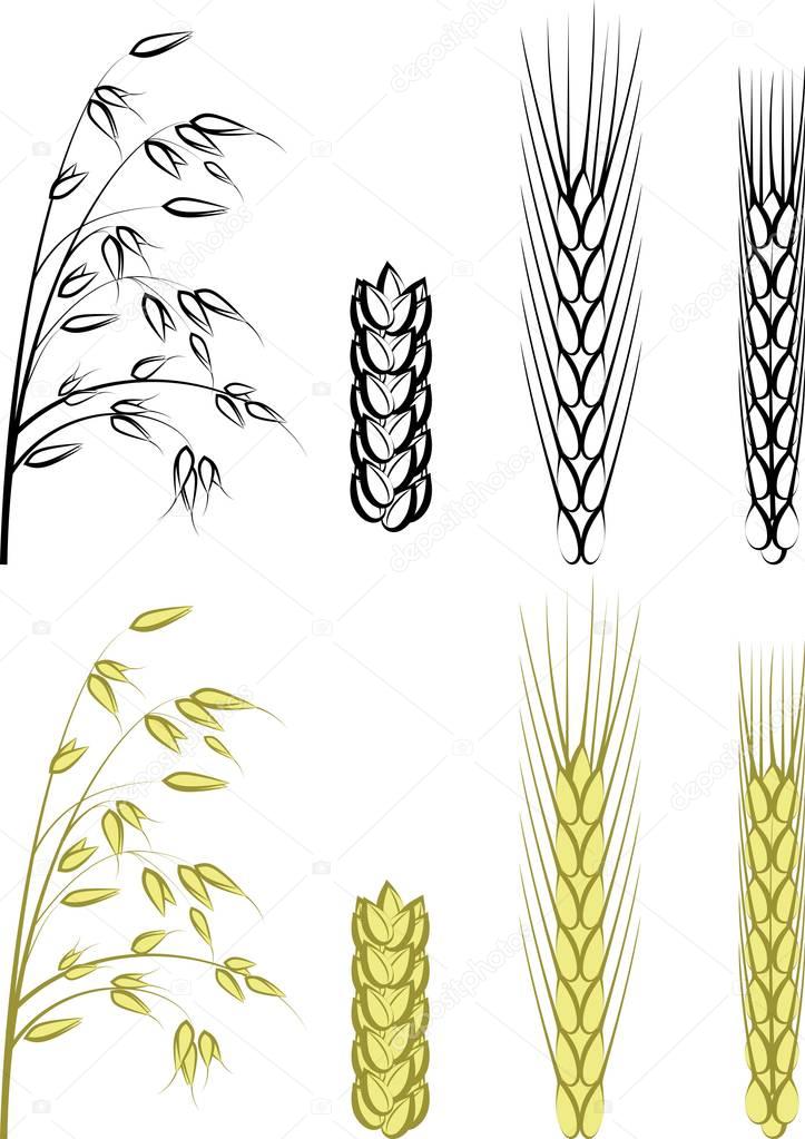 grain - clip art illustration