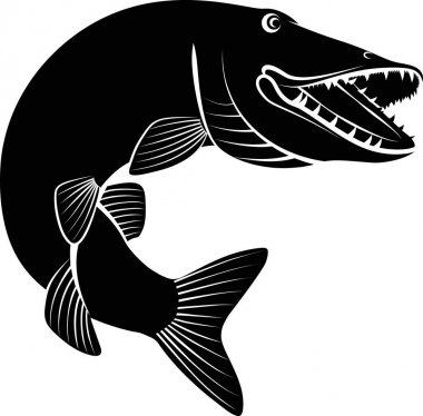izole esox - vektör çizim