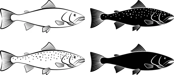 Izolované losos - vektorové ilustrace — Stockový vektor