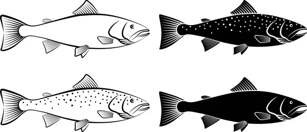 Geïsoleerde zalm - vectorillustratie — Stockvector