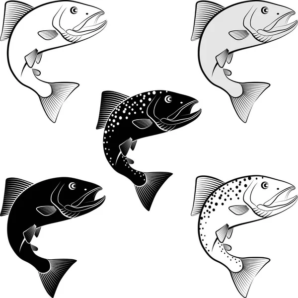 Geïsoleerde zalm - vectorillustratie — Stockvector