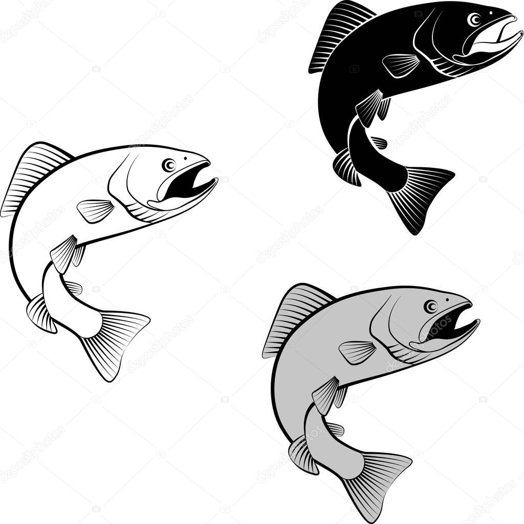 Isolated trout - clip art illustration and  silhouett