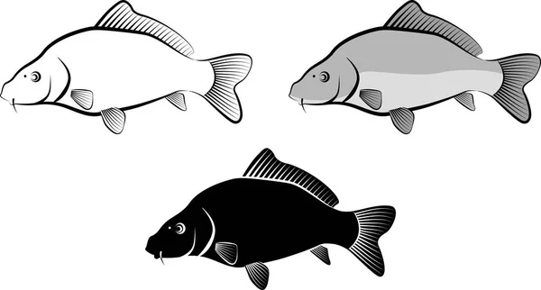 Peixe Carpa Isolado Clip Arte Ilustração Arte Linha — Vetor de Stock