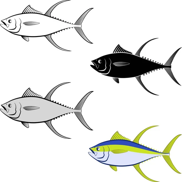 Clip Art Illustration Tonfisk Och Konturteckningar — Stock vektor