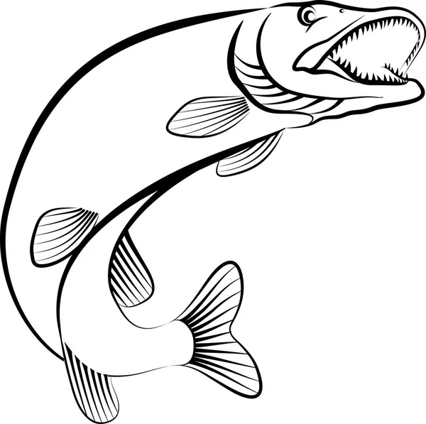 Pike — Stock Illustration Pike Royalty Free Stock Illustrations